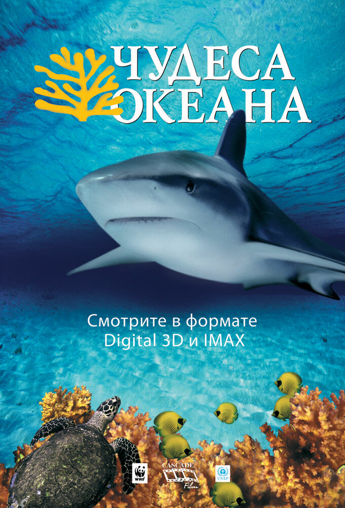 Чудеса океана 3D (2003)